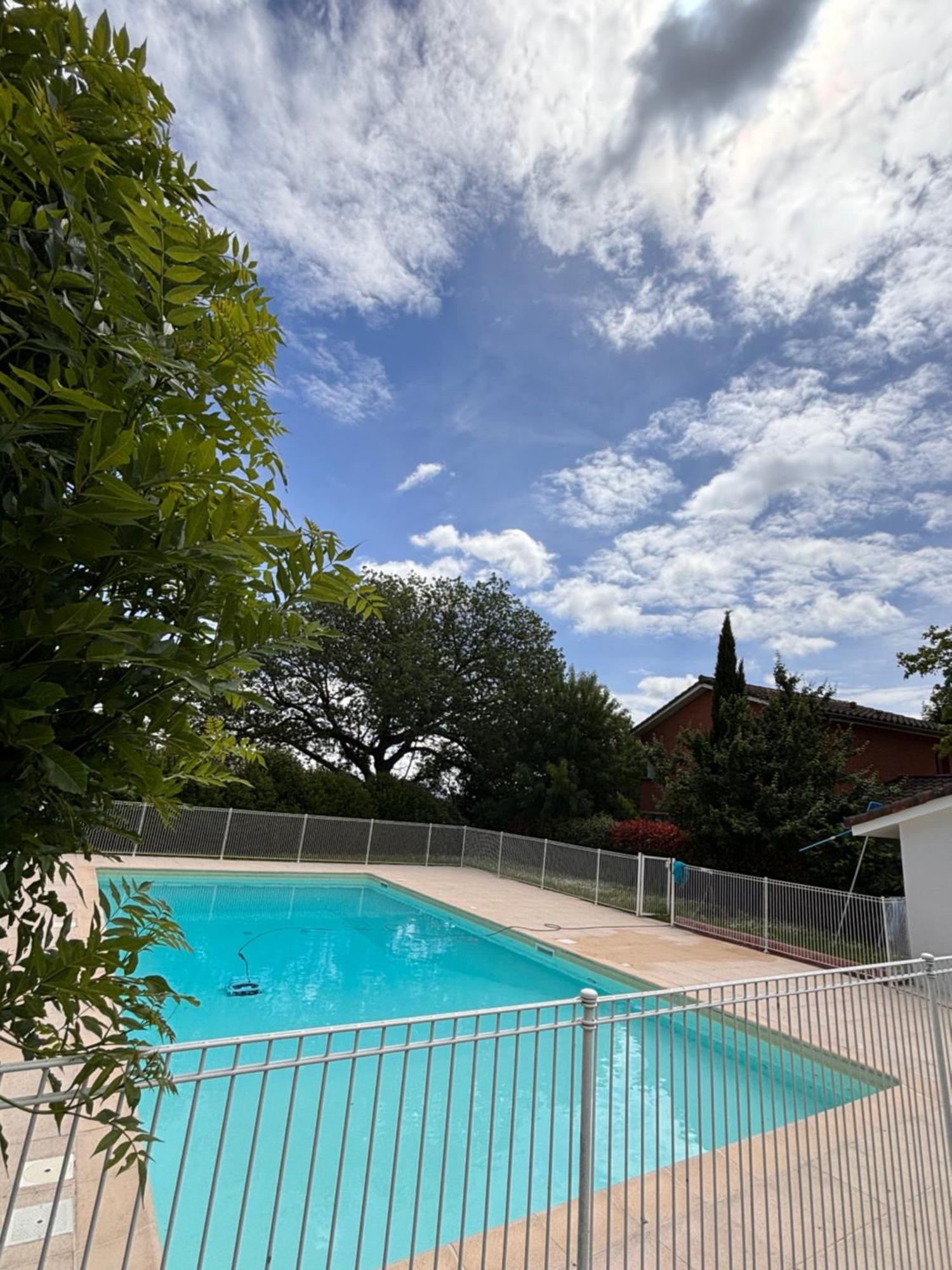 Charmant Appartement Toulouse Apartment Toulouse