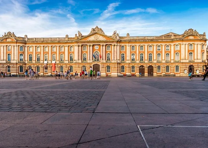 Charmant Appartement Toulouse